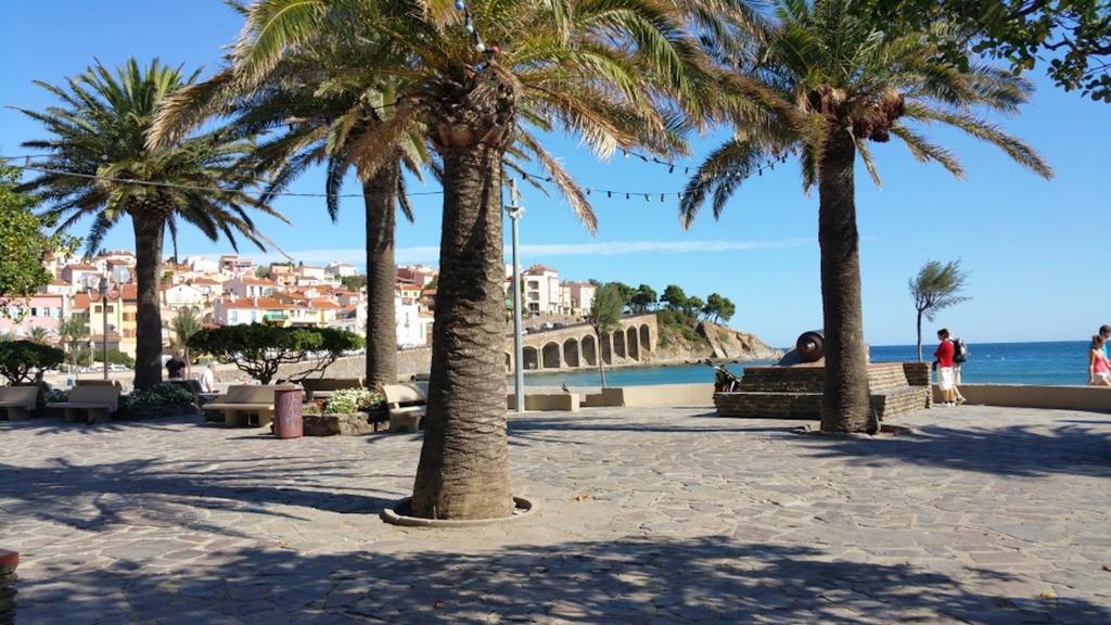 Studio Les Roches blanches - Vue mer&Vignes Banyuls-sur-Mer Exterior foto