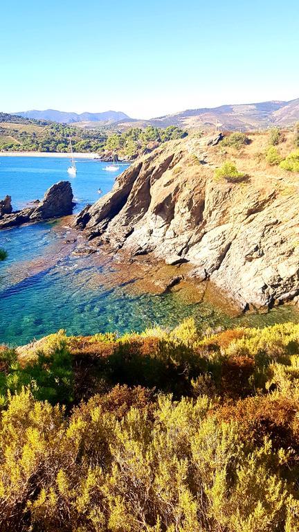 Studio Les Roches blanches - Vue mer&Vignes Banyuls-sur-Mer Exterior foto